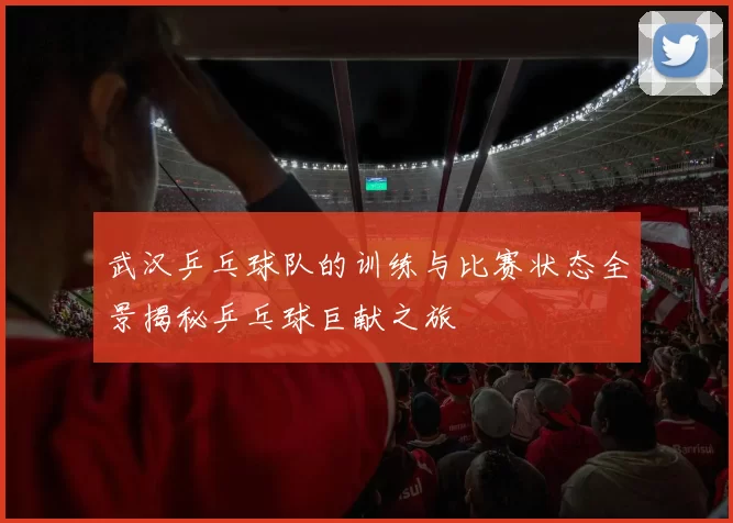 武汉乒乓球队的训练与比赛状态全景揭秘乒乓球巨献之旅