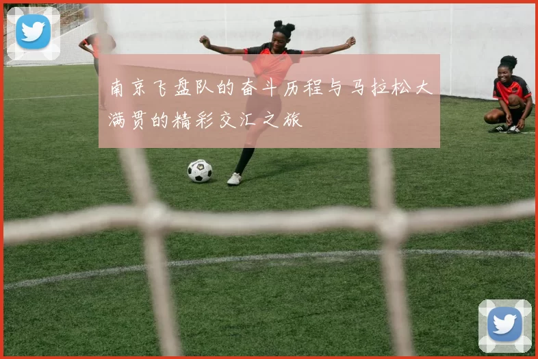 南京飞盘队的奋斗历程与马拉松大满贯的精彩交汇之旅