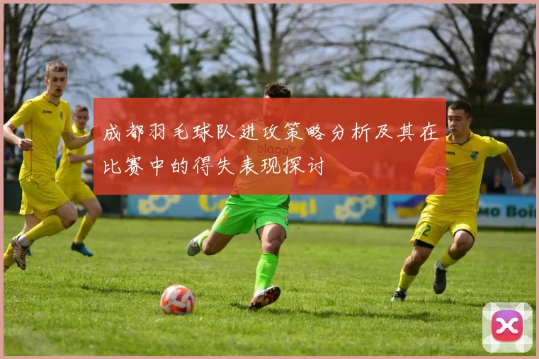 成都羽毛球队进攻策略分析及其在比赛中的得失表现探讨
