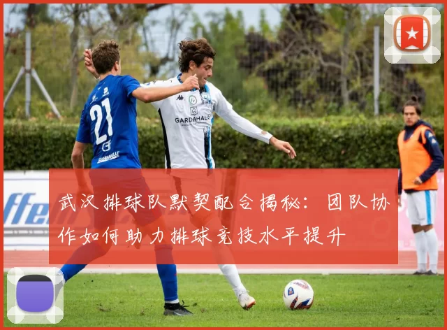 武汉排球队默契配合揭秘：团队协作如何助力排球竞技水平提升