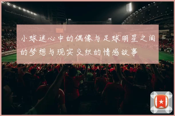 小球迷心中的偶像与足球明星之间的梦想与现实交织的情感故事