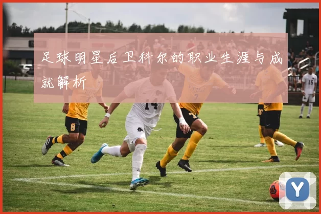 足球明星后卫科尔的职业生涯与成就解析