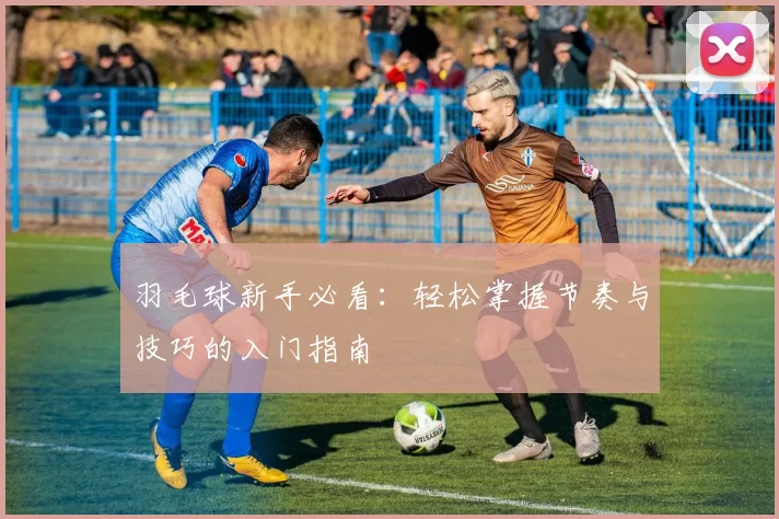 羽毛球新手必看：轻松掌握节奏与技巧的入门指南
