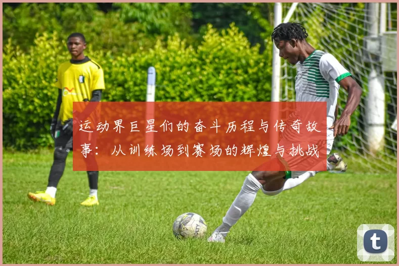 运动界巨星们的奋斗历程与传奇故事：从训练场到赛场的辉煌与挑战