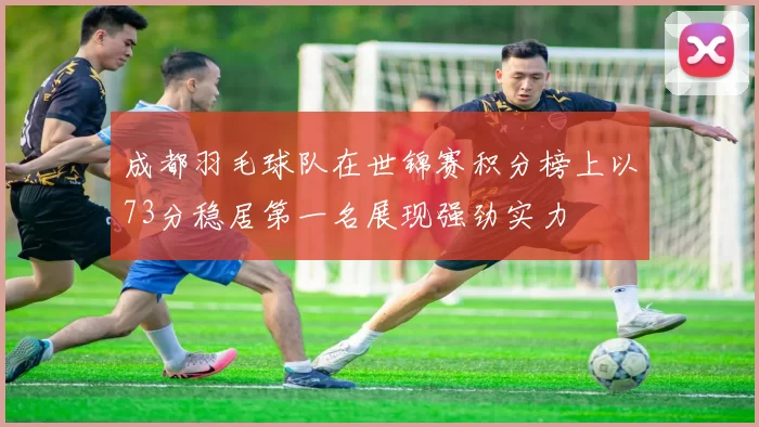 成都羽毛球队在世锦赛积分榜上以73分稳居第一名展现强劲实力