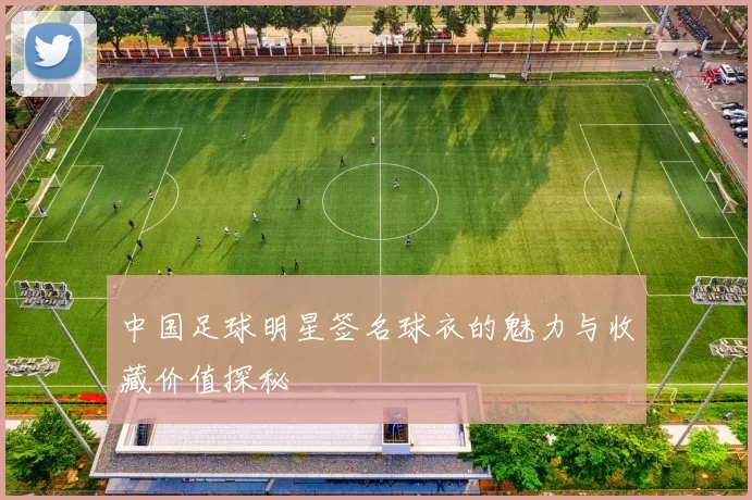 中国足球明星签名球衣的魅力与收藏价值探秘