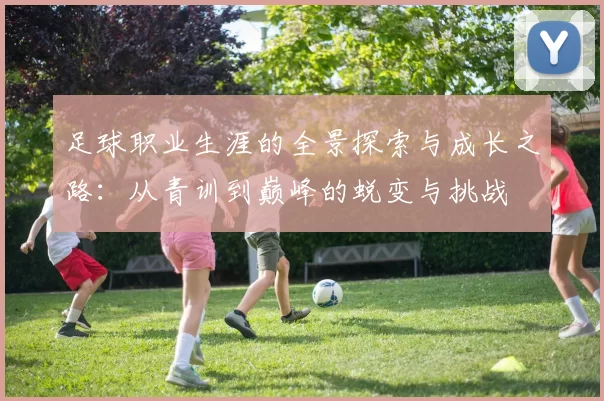 足球职业生涯的全景探索与成长之路：从青训到巅峰的蜕变与挑战