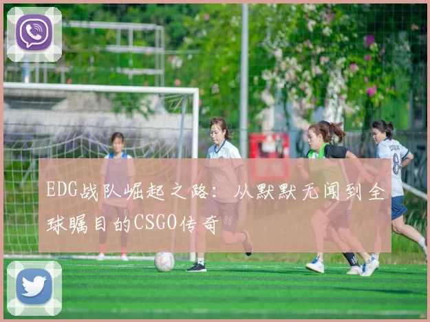 EDG战队崛起之路：从默默无闻到全球瞩目的CSGO传奇